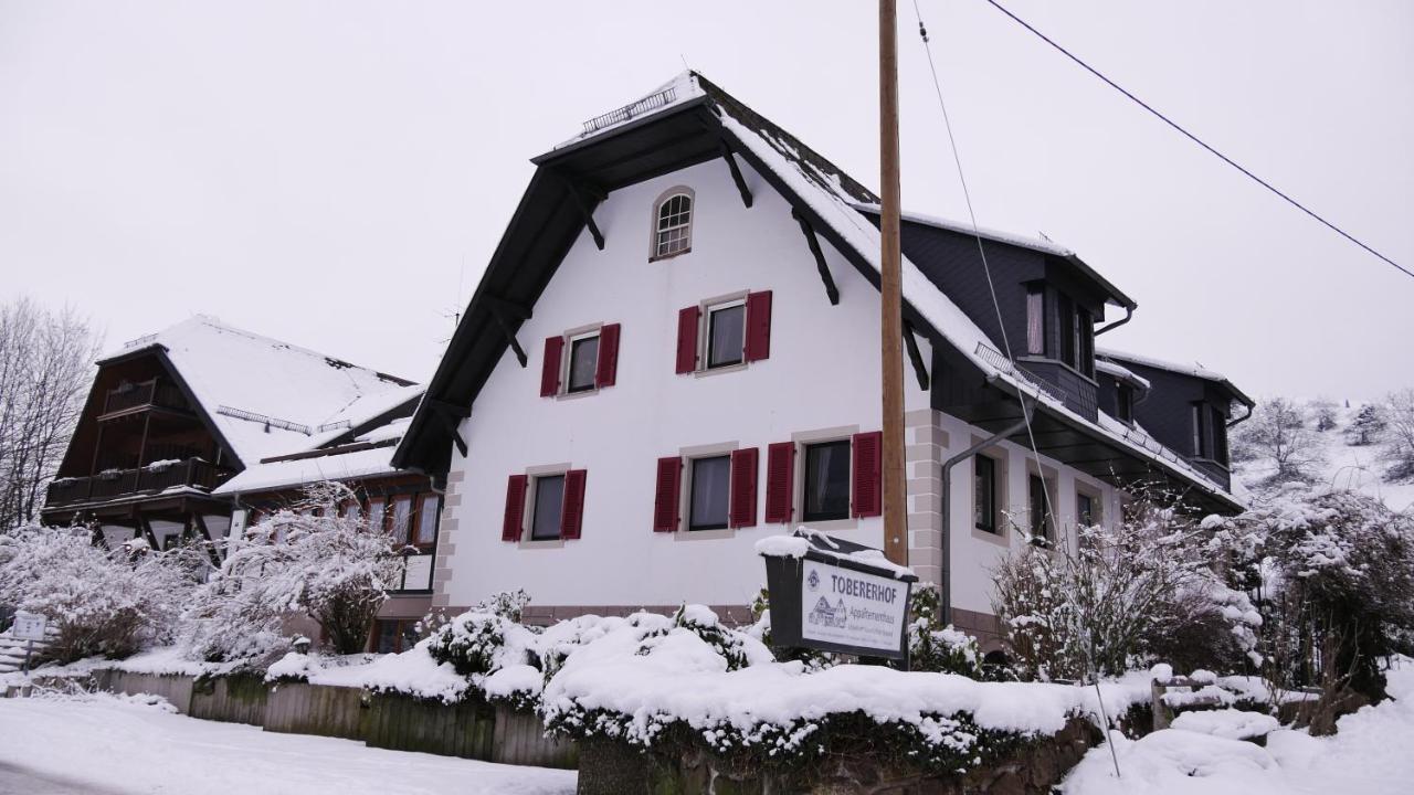 Tobererhof Daire Glottertal Dış mekan fotoğraf